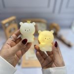 مینی چراغ تدی